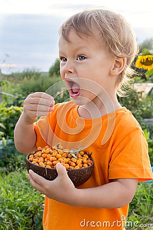 2 years old child eating fresh sea buckthorn berries outdoors in summer in countryside. Happy summer vacation in countryside Stock Photo