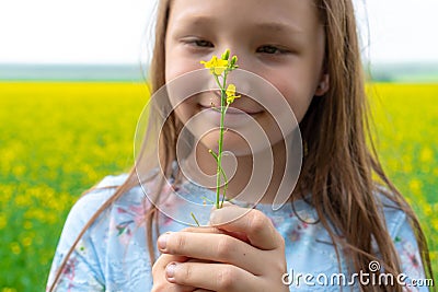 9 years old girl holding a yellow flower in the field. Disfocus Stock Photo