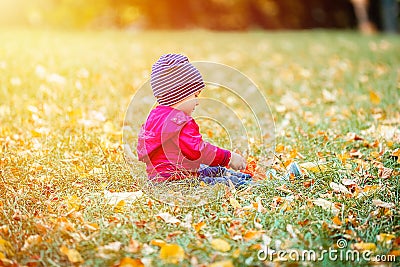 2 years old toddler have fun outdoor in autumn yellow park Stock Photo