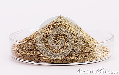 Yeast Extract Powder, a waste product from brewing that contains high concentrations of yeast and is often used in the food Stock Photo