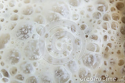 Yeast Fermented as a Background Stock Photo