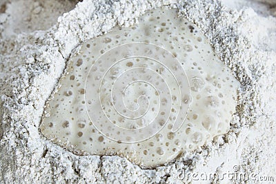 Yeast Fermented and Whole Wheat Flour Stock Photo