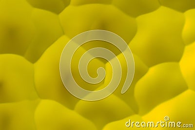 Yellow abstract background Cartoon Illustration