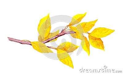 Yellow abstract leaves on autumn branch. Watercolour Cartoon Illustration