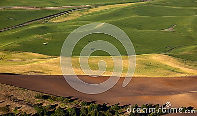 Yellow Airplane Green Wheat Fields Palouse Stock Photo