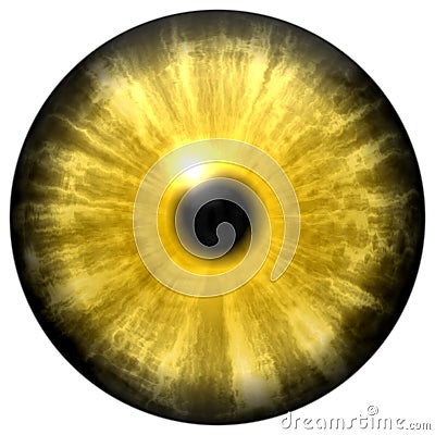 Yellow animal eye with small pupil and black retina. Dark colorful iris around pupil, detail of eye bulb. Stock Photo