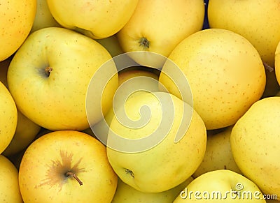 Yellow apples Stock Photo