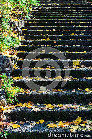 Yellow autumn leaves on stone steps in Dandenong Ranges, Australia Stock Photo