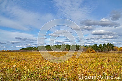 Yellow autumn meadow in front of forest. Autumn landscape with clouds Stock Photo