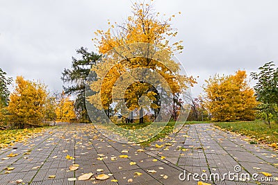 Beatiful road in the autumn park. Manor of Arkhangelsk Stock Photo