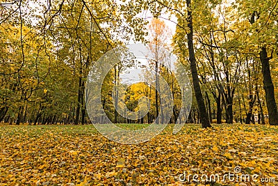 Beatiful road in the autumn park. Manor of Arkhangelsk Stock Photo