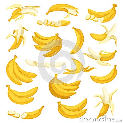 Yellow Banana Sliced Whole Peeled and in Bunch Big Vector Set Vector Illustration