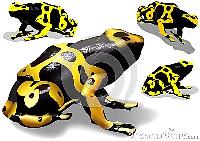 Yellow Banded Dart Poison Frog Vector Illustration