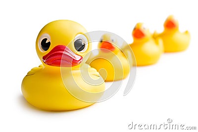 Yellow bath ducks Stock Photo
