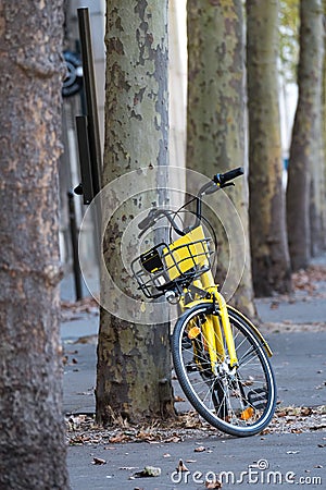 Yellow bike for hire leaning against tree Stock Photo