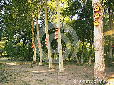 Yellow bird houses Stock Photo