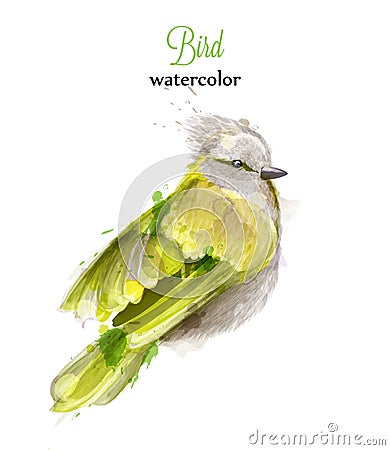 Yellow bird Watercolor Vector. Colorful painted style illustrations Vector Illustration