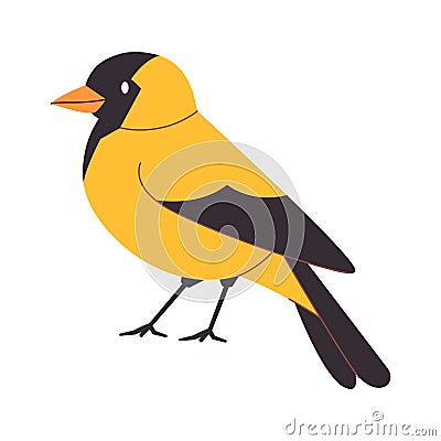 yellow and black color american goldfinch bird small cute beautiful species wild nature animal flying freedom Vector Illustration