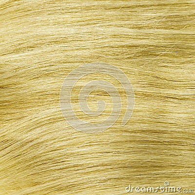 Yellow blonde healthy clip-in hair texture Stock Photo