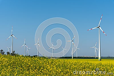 Yellow blossoming oilseed and some wind energy plants Stock Photo