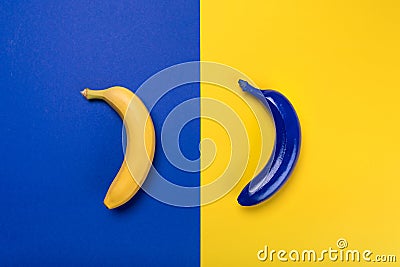 Yellow and blue bananas isolated on blue and yellow Stock Photo