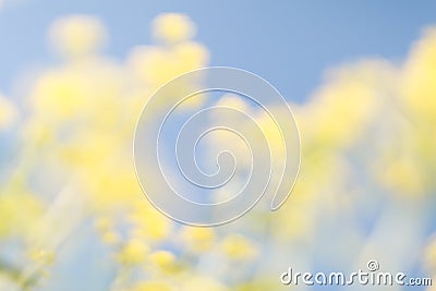 Yellow blue floral bokeh background, lens blur Stock Photo