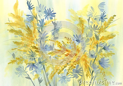 Yellow and blue meadow flowers watercolor background Stock Photo