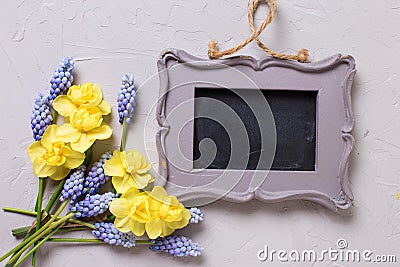 Yellow and blue spring flowers and empty frame on grey textu Stock Photo