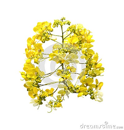 Yellow bouguet flowers Stock Photo