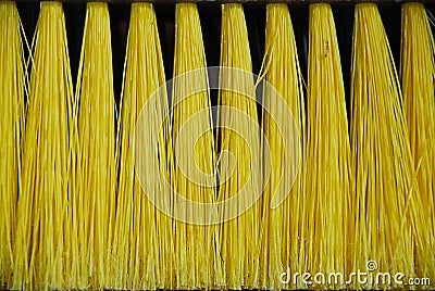 Yellow Broom Stock Photo