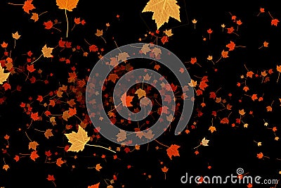 Yellow, brown, red colorful leaves autumn colors flying on black background, leaf fall season Stock Photo