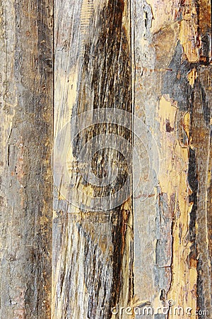 Yellow brown wooden board texture with cracks, stains and scratches Stock Photo