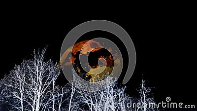 Yellow burning planet on cloudy black sky appearing behind white forest silhouettes. Bare leafless trees. Cartoon Illustration