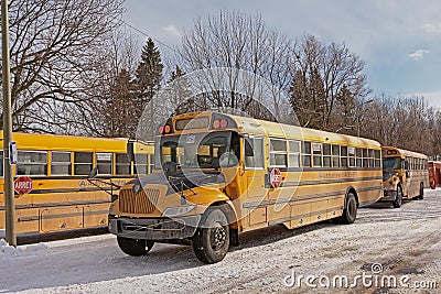 Yellow Canadian school busses on a winter road Editorial Stock Photo