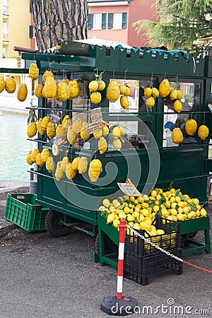 Yellow cedri fruits Stock Photo