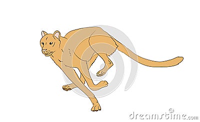 Yellow cheetah running, vector Vector Illustration