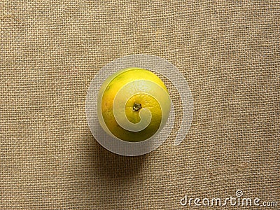 Yellow Citrus limetta Stock Photo