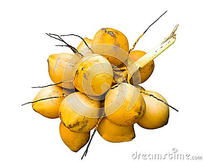 Yellow coconut Stock Photo