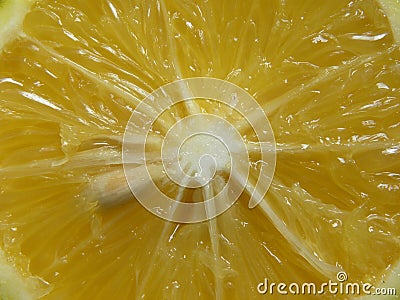 Cut detail of Citrus limetta Stock Photo