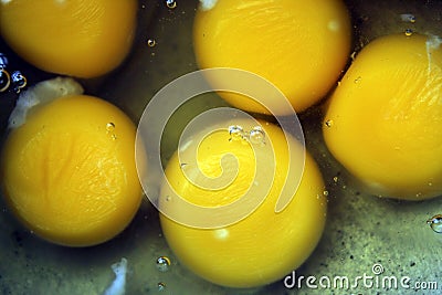 Yellow colored semi liquid round shaped egg yolk close display. Stock Photo