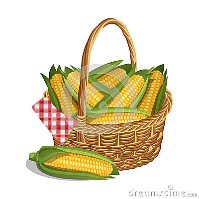 Yellow corn in basket, isolated on white. Vector illustration. Vector Illustration