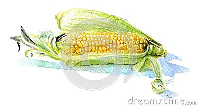 Yellow corn Stock Photo