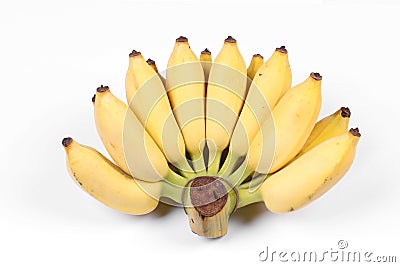 Yellow cultivated banana, Ripe cultivated banana. Stock Photo