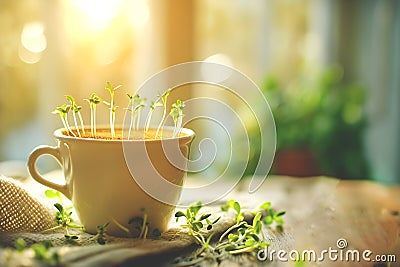 Yellow cup of coffee from which small sprouts emerge. Blurred background. Concept of absorption of the human world by Stock Photo