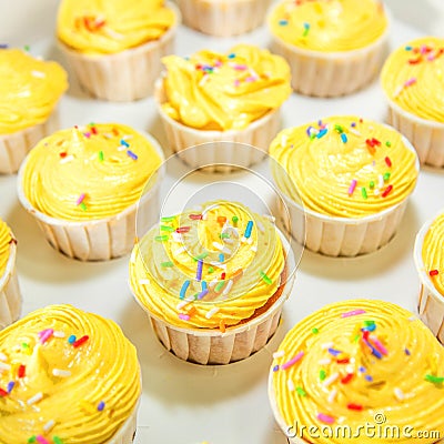 Yellow Cupcakes I Stock Photo