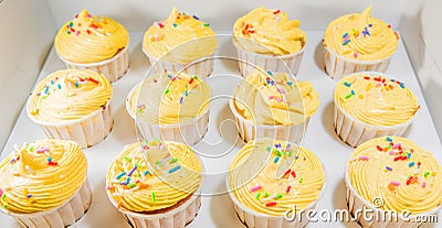 Yellow Cupcakes II Stock Photo