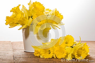 Yellow dafodills in white bucket Stock Photo