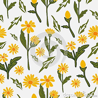 Yellow daisy summer seamless pattern Vector Illustration