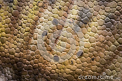 Yellow Dinosaur Skin leather for background Stock Photo
