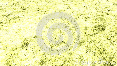 Yellow, dirty surface of dry, cold earth. Light yellow, bright background with a mottled texture Stock Photo
